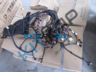 ���� �������� �����������